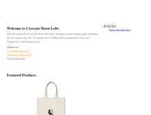 Tablet Screenshot of crescentmoonlofts.com